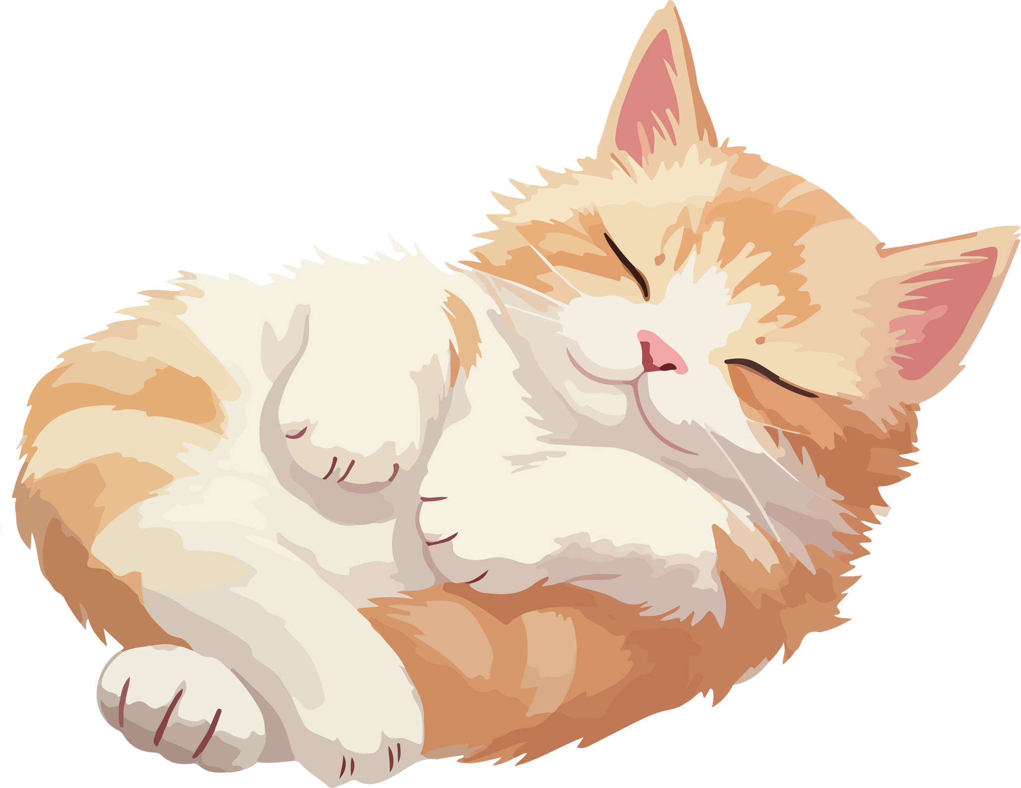 cute sleeping cat